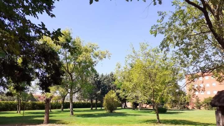 Residencia Diego Martinez Palencia Kültér fotó